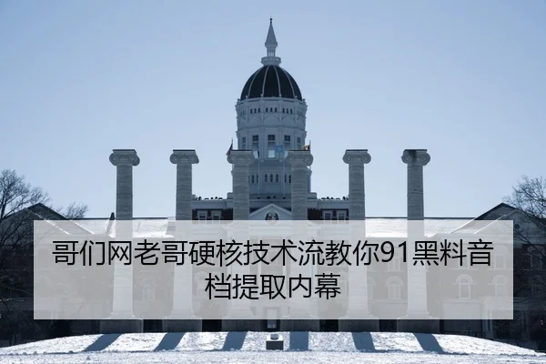 哥们网老哥硬核技术流教你91黑料音档提取内幕